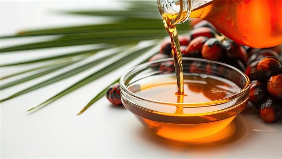 Embracing Sustainable Palm Oil: Shaping the Future Today By Dr. Puah Chiew Wei